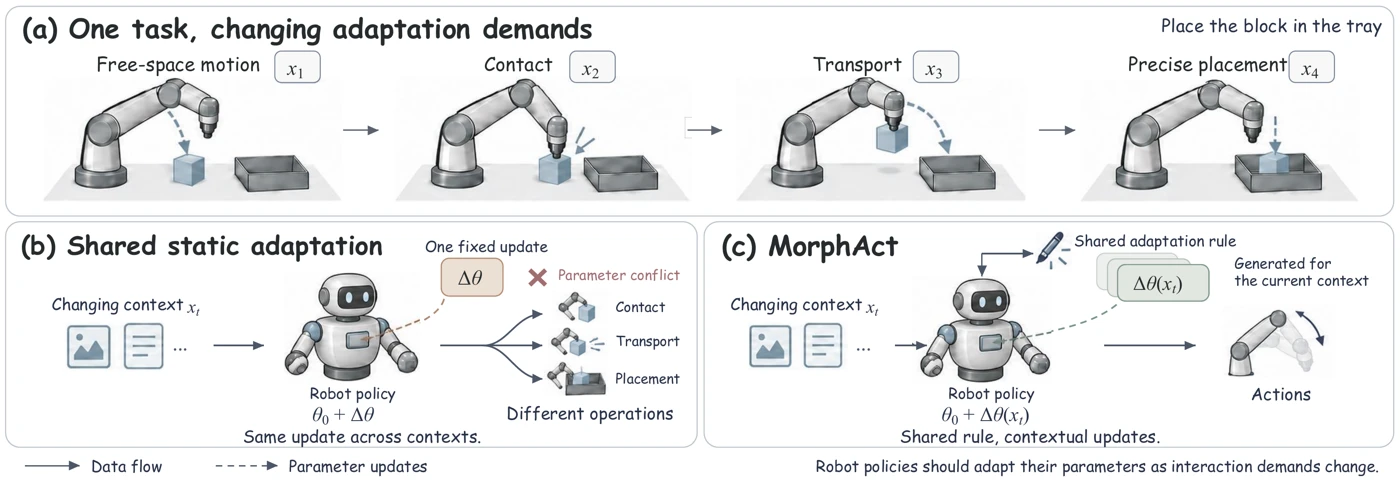 MorphAct reshapes a shared robot policy’s perception and action weights to meet changing interaction demands.